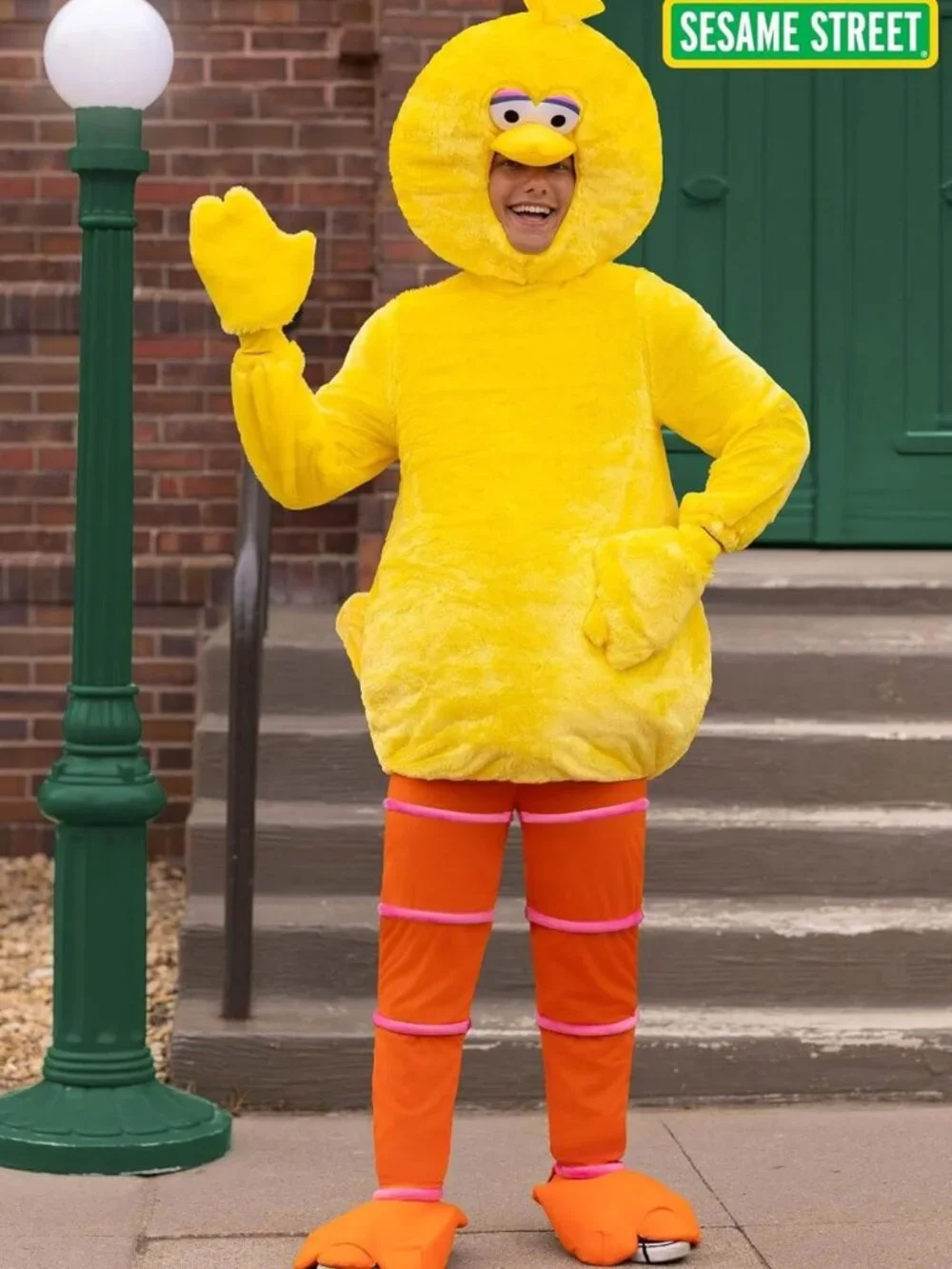 Big Bird Halloween Costume for Adults | Cartoon Character Outfit with Tunic